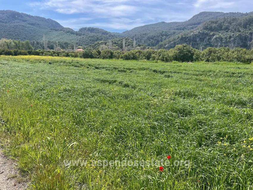 Land Zu verkaufen in Okçular Bz. Ortaca - Gehäuse-Zonierung - 736 m²
