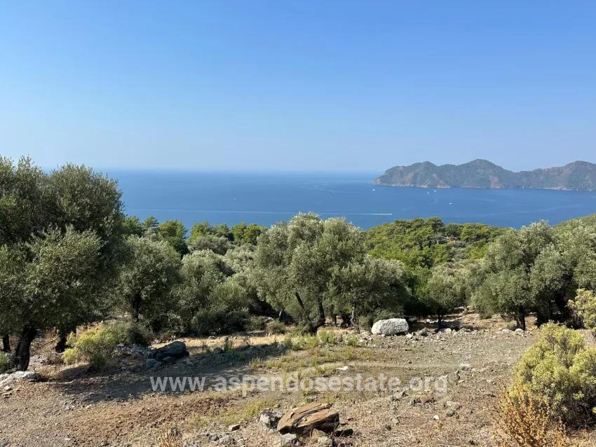 Feld Zu verkaufen in Çandır Bz. Köyceğiz - Feld-Zonierung - 21.000 m²