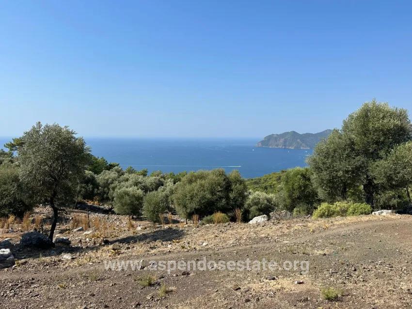 Feld Zu verkaufen in Çandır Bz. Köyceğiz - Feld-Zonierung - 21.000 m²