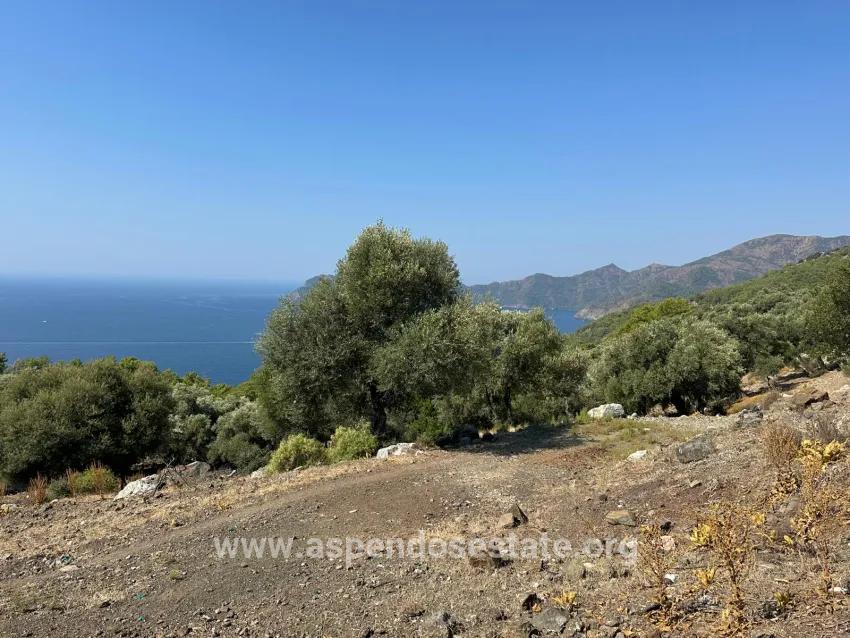 Feld Zu verkaufen in Çandır Bz. Köyceğiz - Feld-Zonierung - 21.000 m²