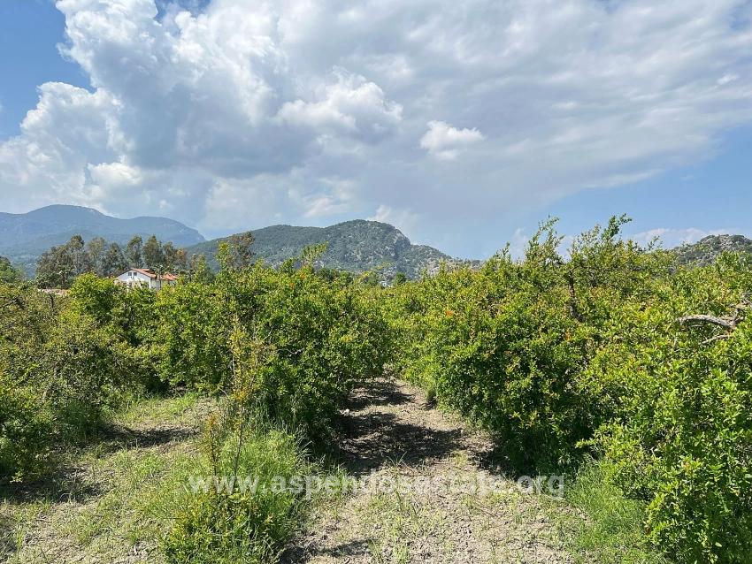5.100 M² Großes Grundstück In Dalyan, Gebiet Maraş, Zu Verkaufen, Ausgewiesen Für 5% Wohnnutzung.