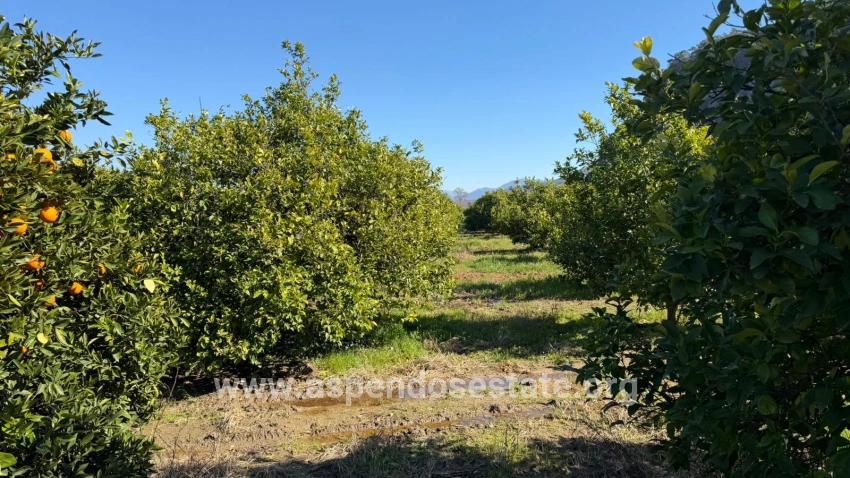 2.218m2 Grundstück Zum Verkauf In Okçular Marmarlı