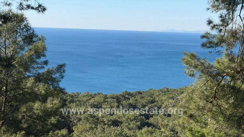 2b-feld Von 5715 M2 Zum Verkauf Mit Vollem Meerblick In Çandır