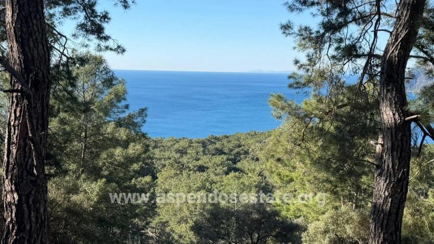 Feld Zu verkaufen in Çandır Bz. Köyceğiz - Gehäuse-Zonierung - 5.715 m²