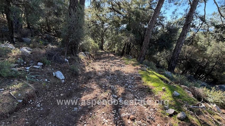 Feld Zu verkaufen in Çandır Bz. Köyceğiz - Gehäuse-Zonierung - 5.715 m²
