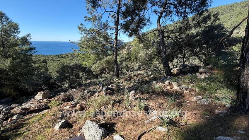 2b-feld Von 5715 M2 Zum Verkauf Mit Vollem Meerblick In Çandır