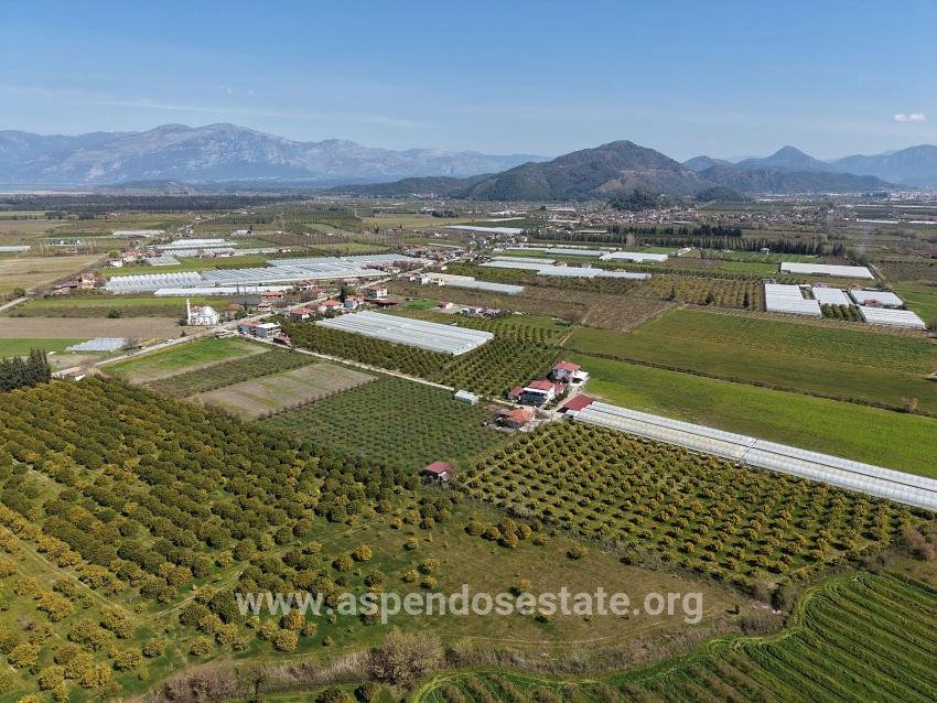 17.550 M2 Weinberg-bahce Zum Verkauf In Der Nähe Des Dalyan Centers
