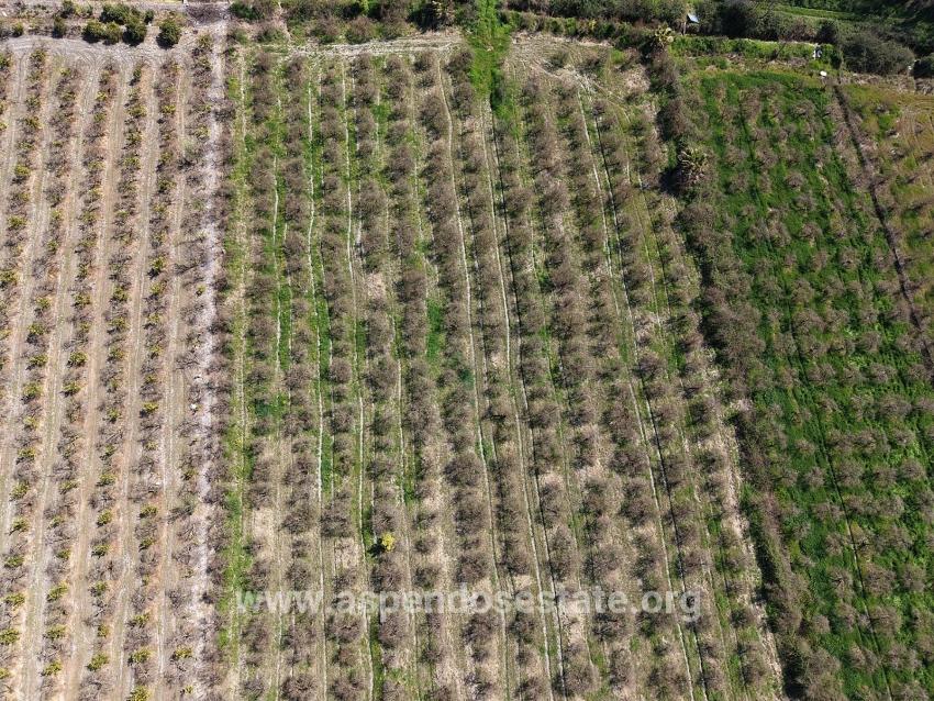 16.710 M² Granatapfelgarten Zum Verkauf Mit Seeblick In Eskiköy