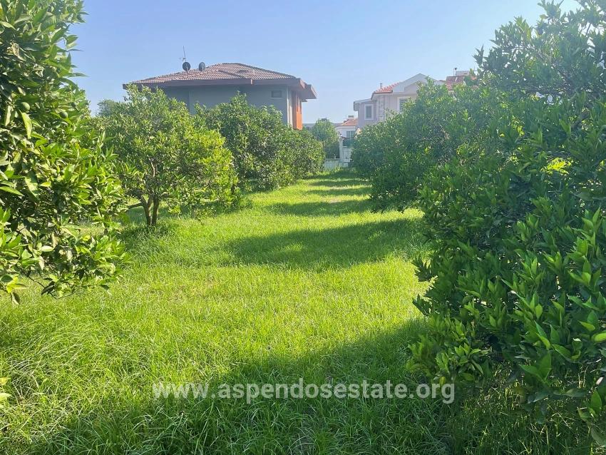 722m2 Grundstück Zum Verkauf In Dalyan Gülpınar