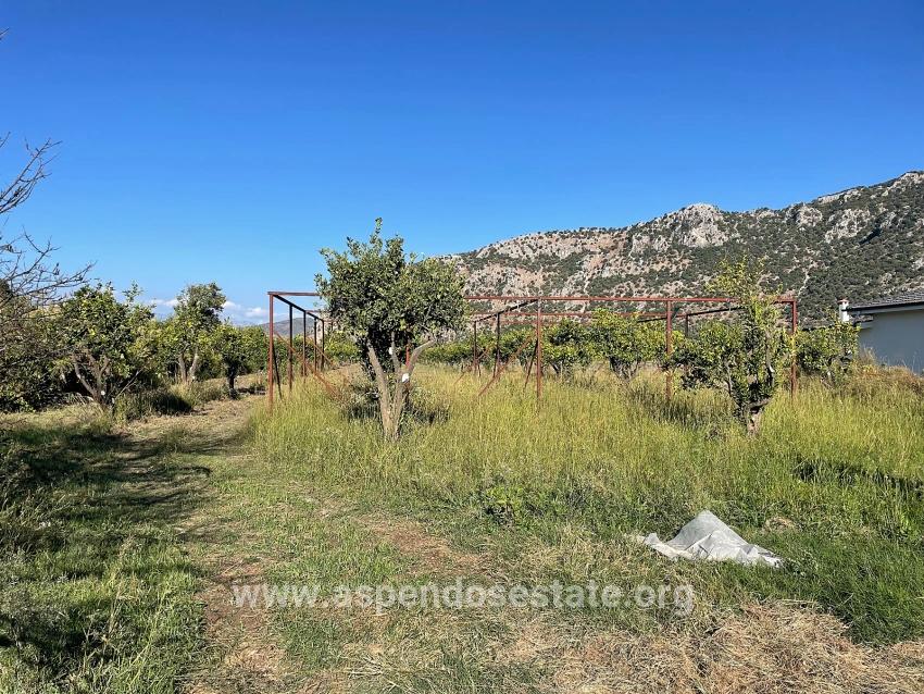 6600 M² Großes Grundstück In Der Nähe Des Zentrums Von Dalyan Zu Verkaufen.