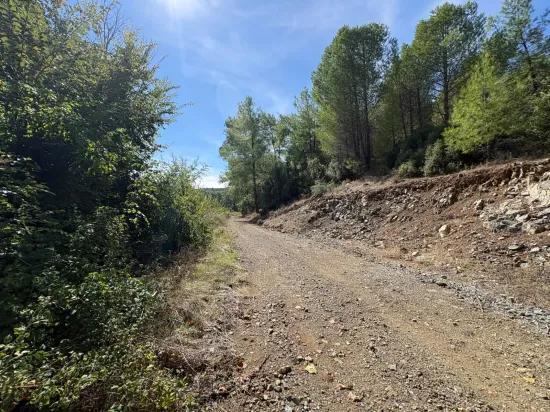 10.500 m2 zum Verkauf Feld In Köyceğiz Zeytinalanı