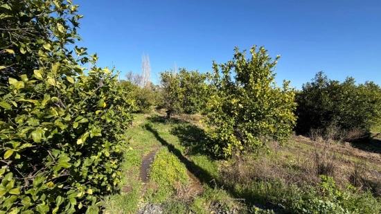 2.218m2 Grundstück Zum Verkauf In Okçular Marmarlı