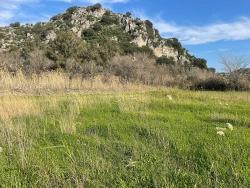 Land Zu verkaufen in Dalyan Bz. Ortaca - Gehäuse-Zonierung - 6.800 m²