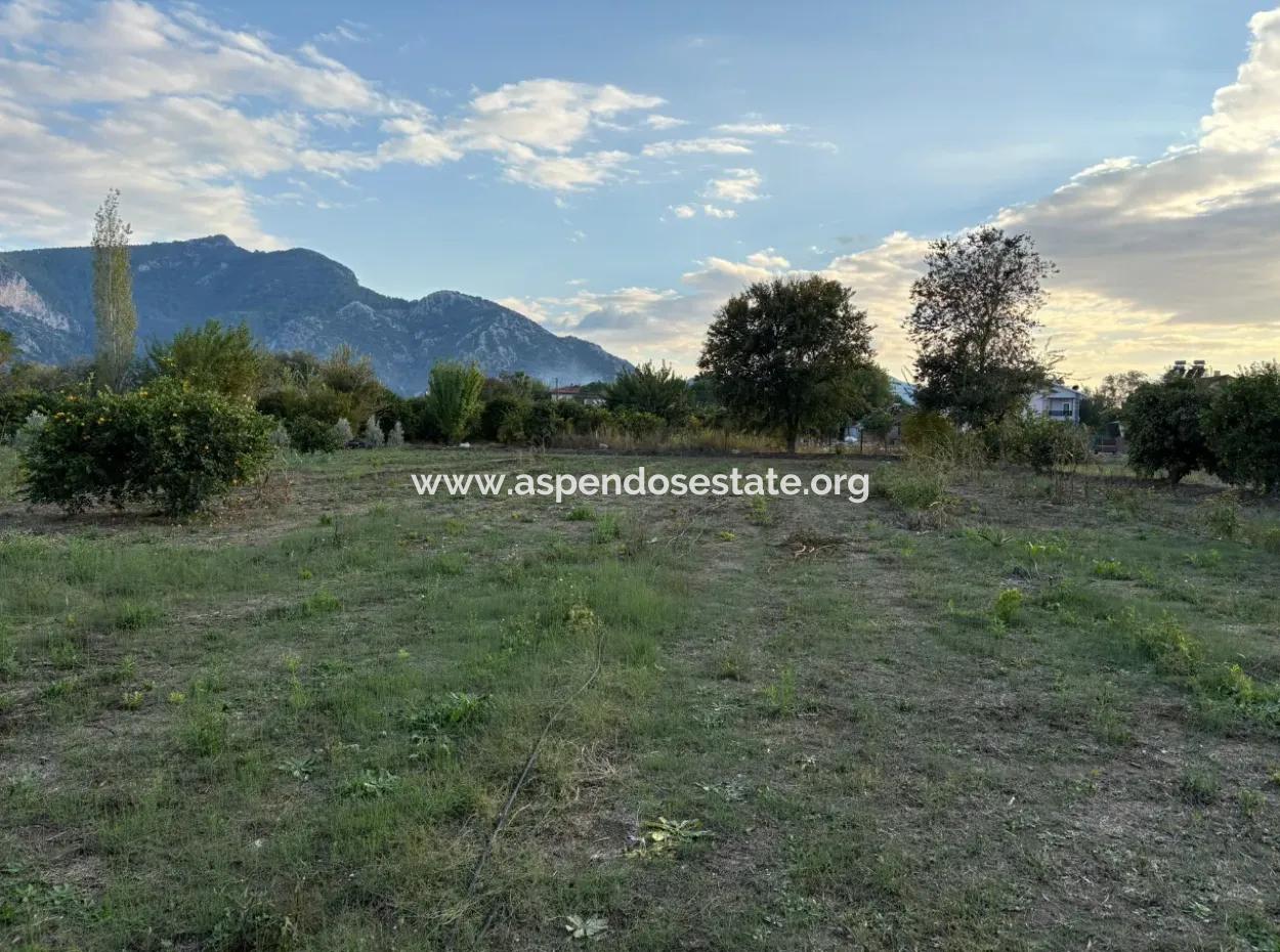 7.450M2 Land Zum Verkauf In Der Nähe Des Zentrums Von Dalyan