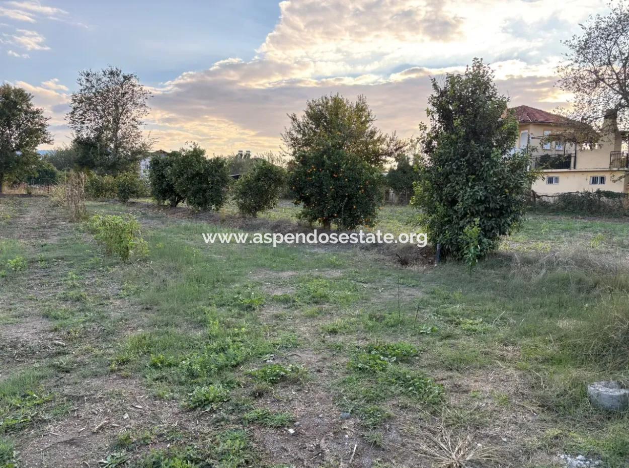 7.450M2 Land Zum Verkauf In Der Nähe Des Zentrums Von Dalyan