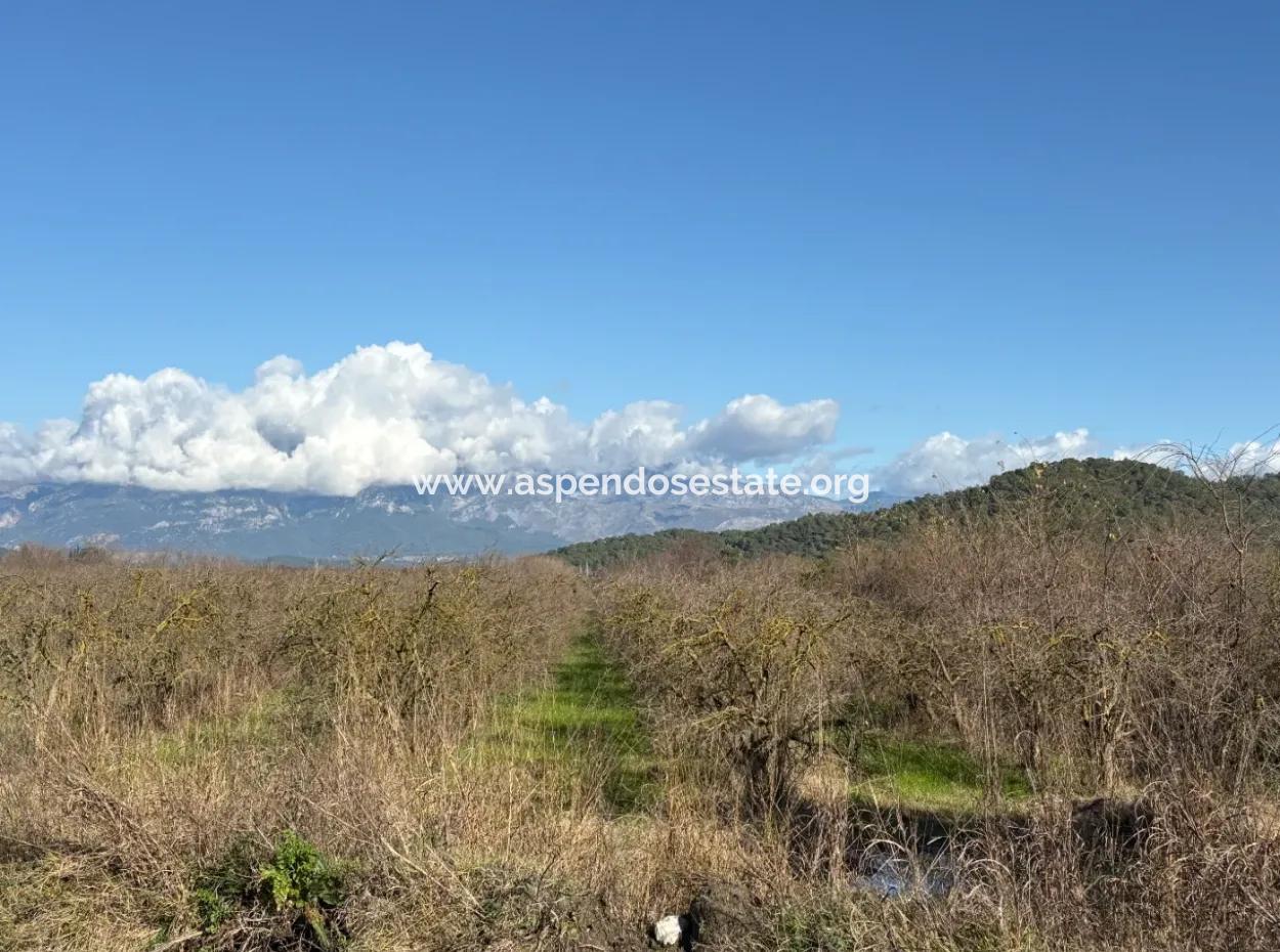 23.000M2 Freistehender Feldgarten Zum Verkauf In Tepearasin,