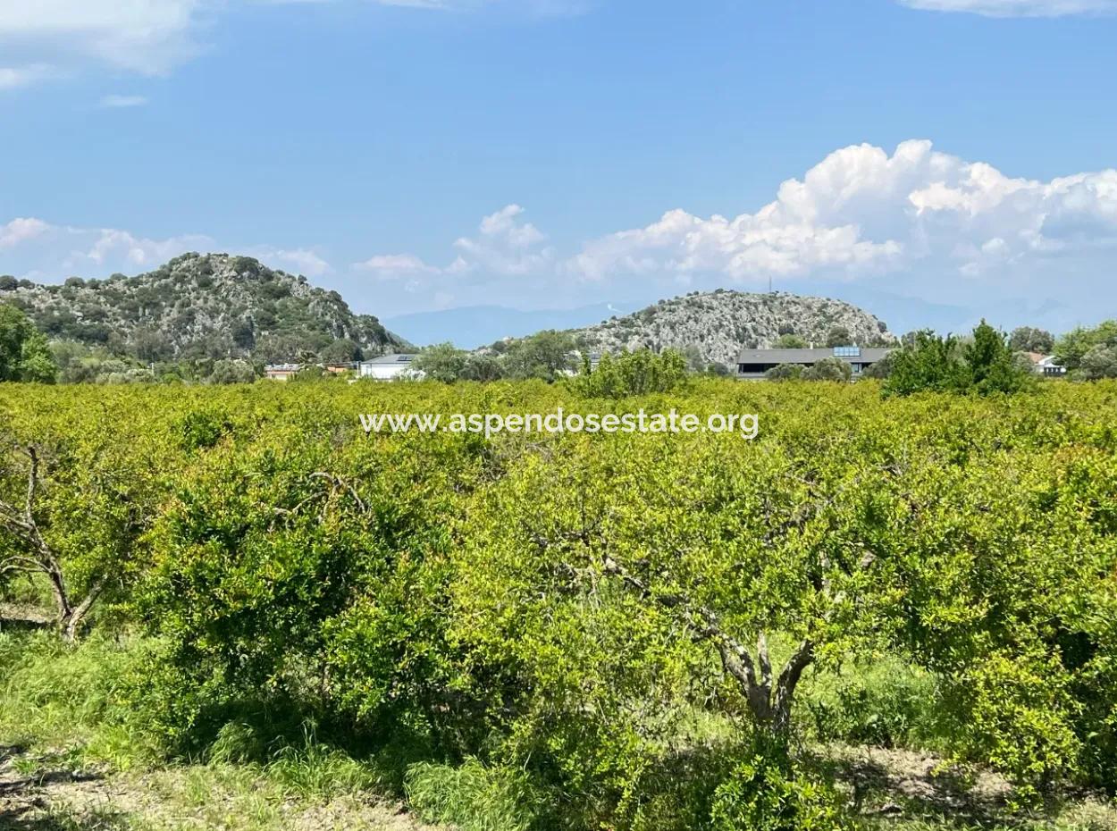 5.100 M2 Land Zum Verkauf In Der Gegend Von Dalyan Maraş Mit 5% Wohnzone
