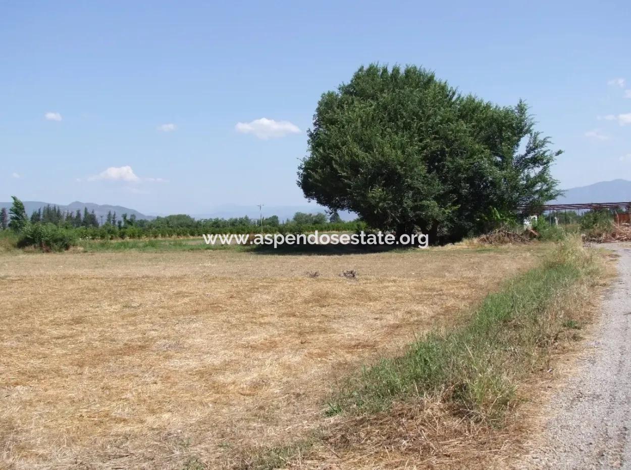 Grundstück Zum Verkauf An Der Ecke Von 540M2 In Okcular