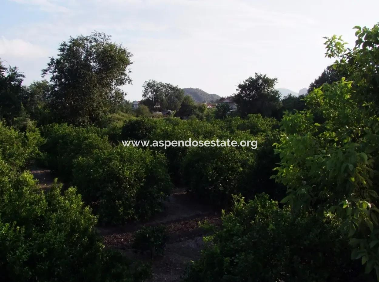 Nahe Dem Zentrum Von Dalyan In Dalyan Grundstück Für Verkauf Zum Verkauf 987M2