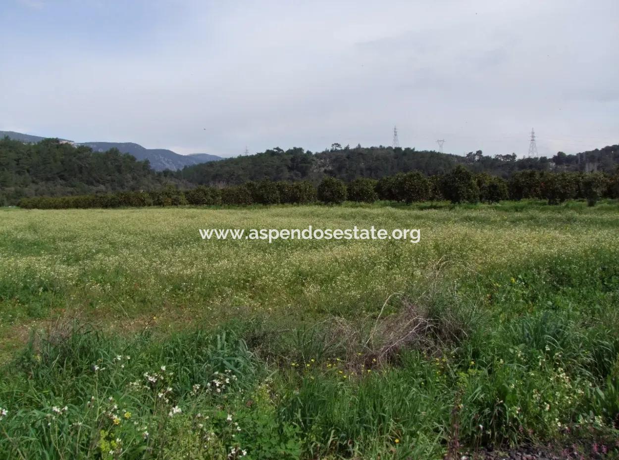In Akyaka Zum Verkauf: Grundstück Zum Verkauf Bauernhof Zum Verkauf Einer Farm In Der Nähe Vom Meer, In Ars, Yatirimlik 21625M2
