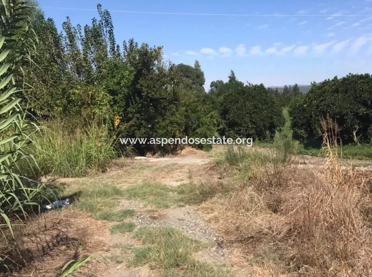 Garten Grundstück Mit Garten Zum Verkauf In Köyceğiz Zum Verkauf In Dogusbelen Dogusbelen Narenc