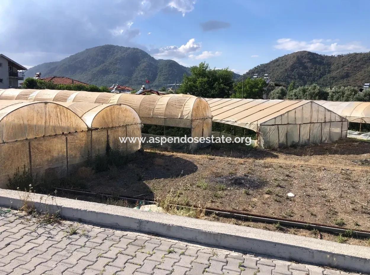 Oriya 560 560 Sq Ft Grundstück Zum Verkauf Gewerbeflächen Hauptstraße Zum Verkauf Eksiliyurt Null