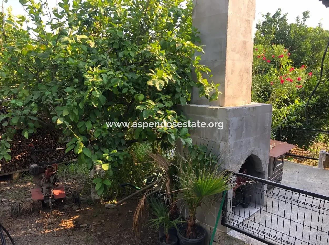 752M2 Grundstück Zum Verkauf Zum Verkauf In Bogenschützen Koyevi Bungolev