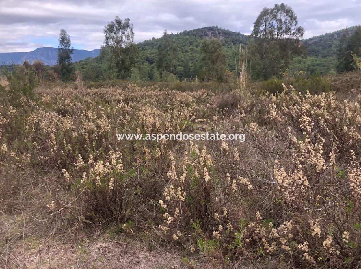 Land Zum Verkauf Null Zu 'Aml' Kanal 28768M2 Land Zum Verkauf Mit Meerblick In Camlida