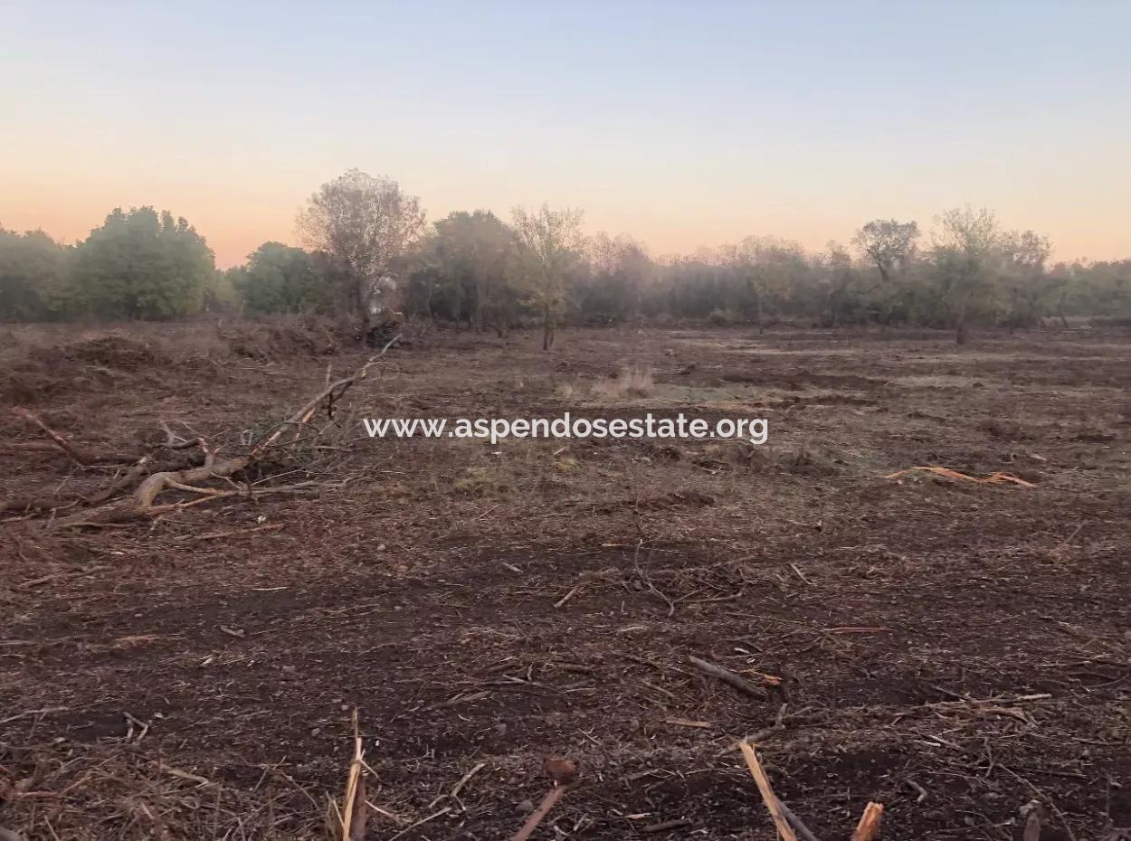 Sultaniye Land For Sale Near 10577M2 Lake Land For Sale