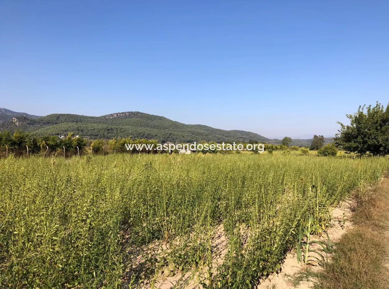 Field Zu Verkaufen In Ak'apinar 100 Acres Zu Verkaufen