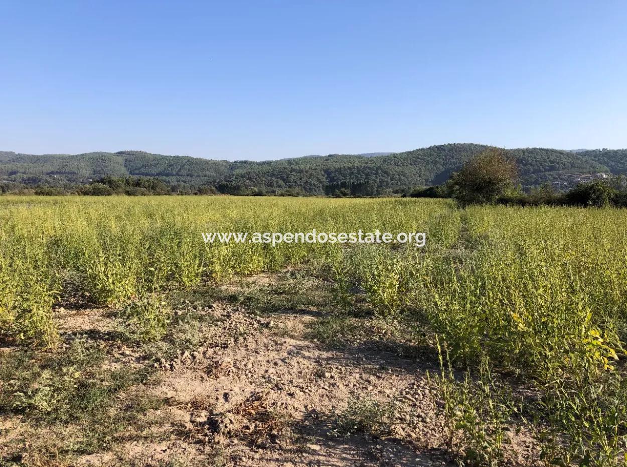 Field Zu Verkaufen In Ak'apinar 100 Acres Zu Verkaufen