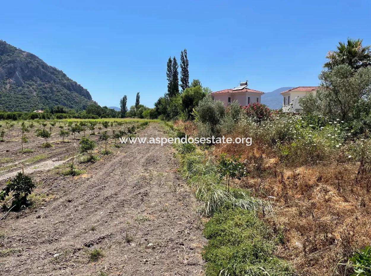 Okçular Land Zum Verkauf In Marmarlı 6500M2