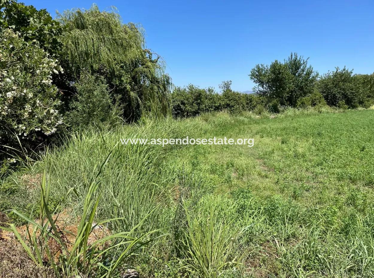Okçular Land Zum Verkauf In Marmarlı 6500M2