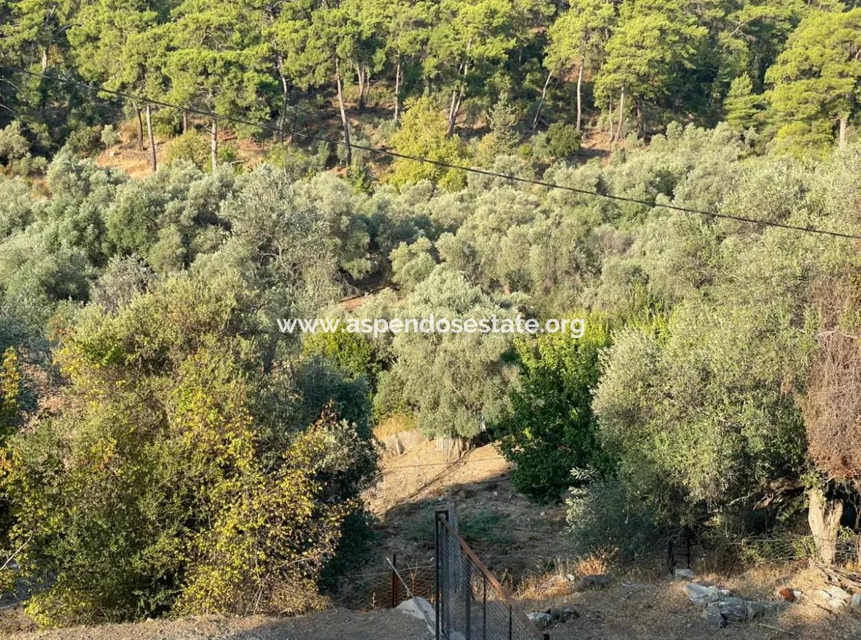 Çandir 3.800M2 Grundstück Zum Verkauf