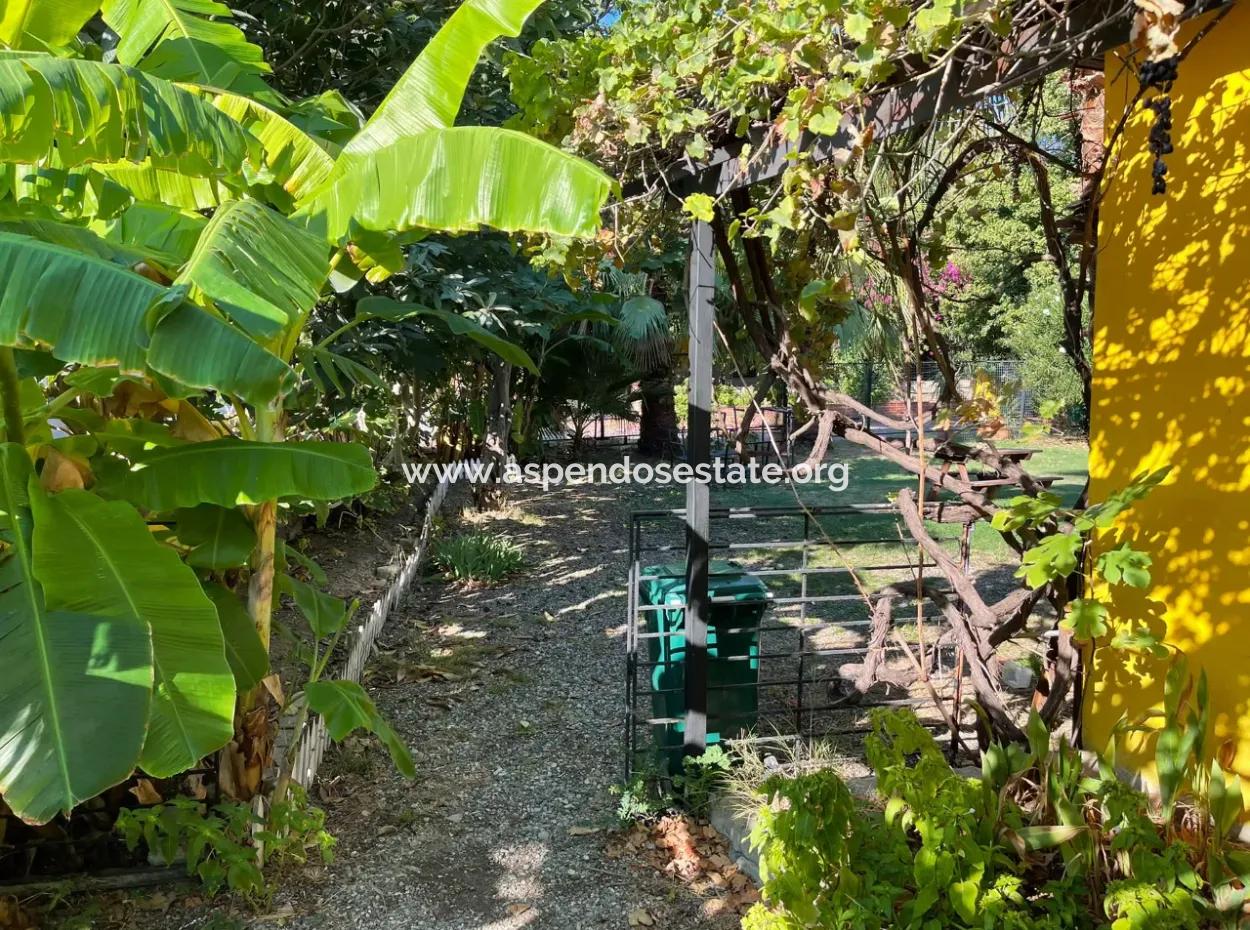 Dalyan 519M2 Grundstück Zum Verkauf