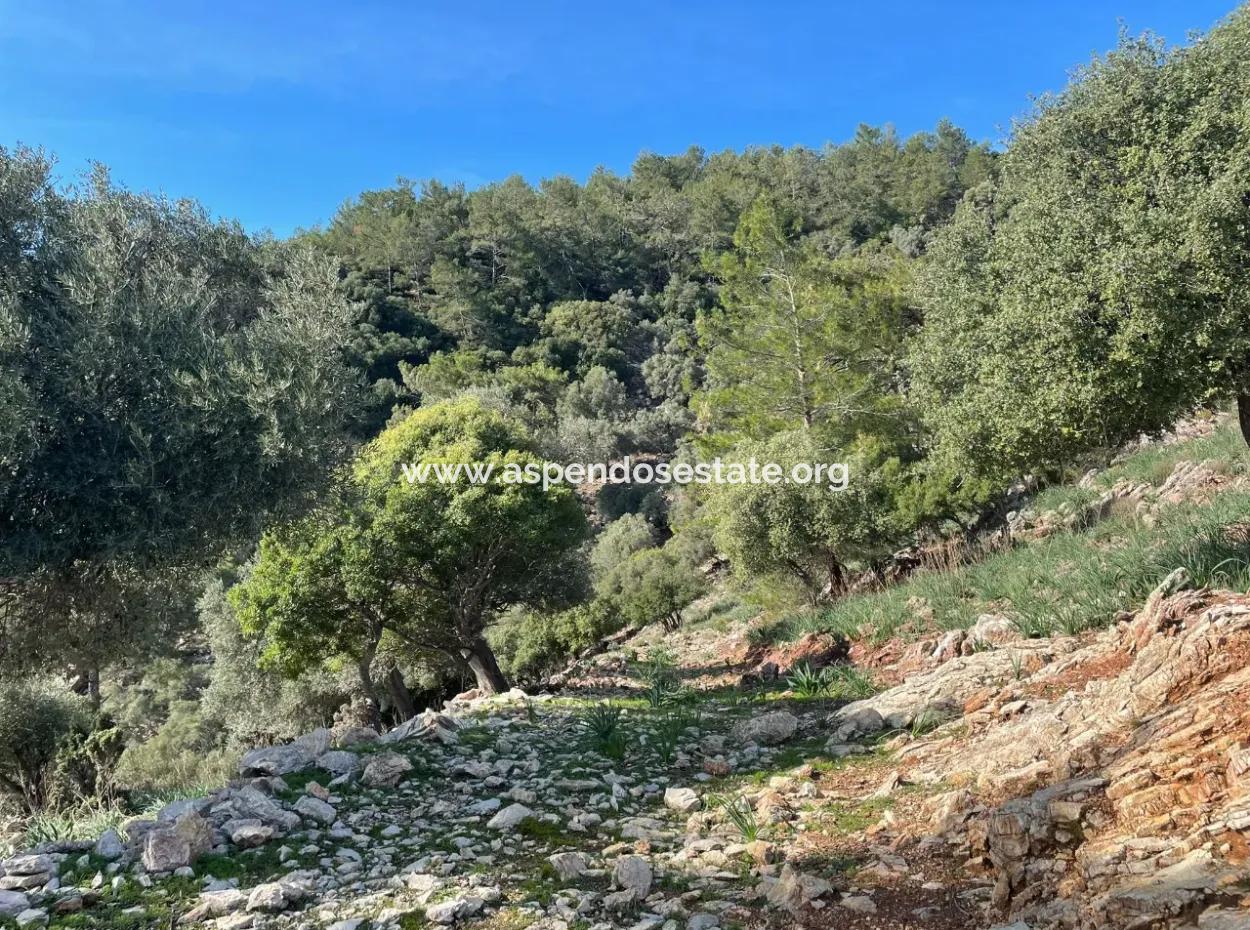 8.900M2 Feld Zum Verkauf Mit Vollem Meerblick In Ekincik