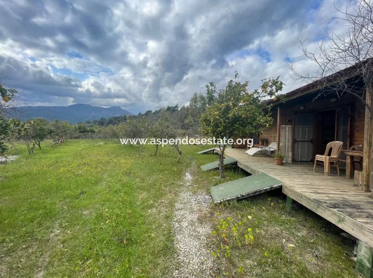 Dalyan Boutique Hotel Zum Verkauf Bungolevler Zum Verkauf In 11.000M2 Grundstück