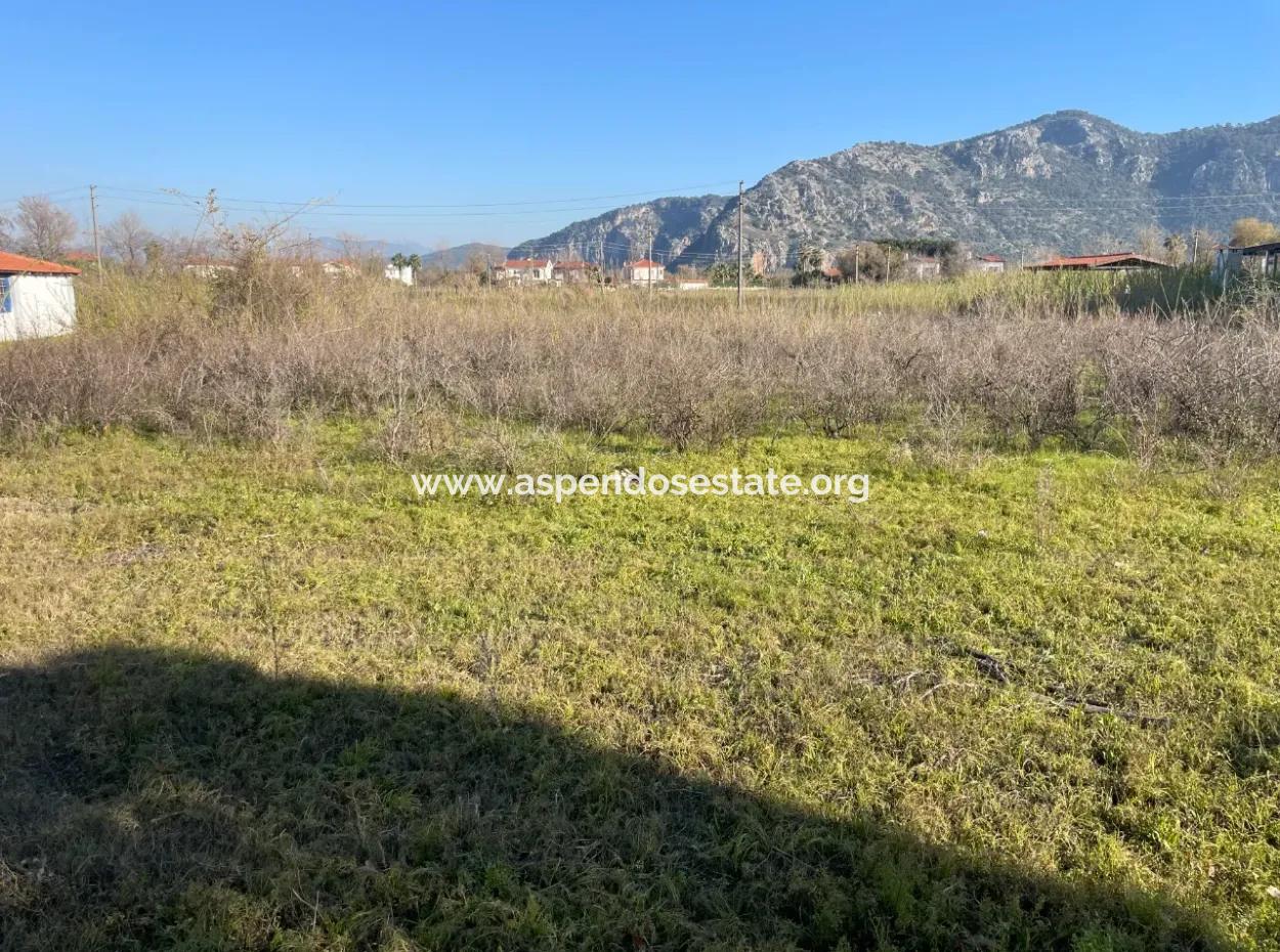 Dalyan 1000M2 Köşebaşı Grundstück Zum Verkauf