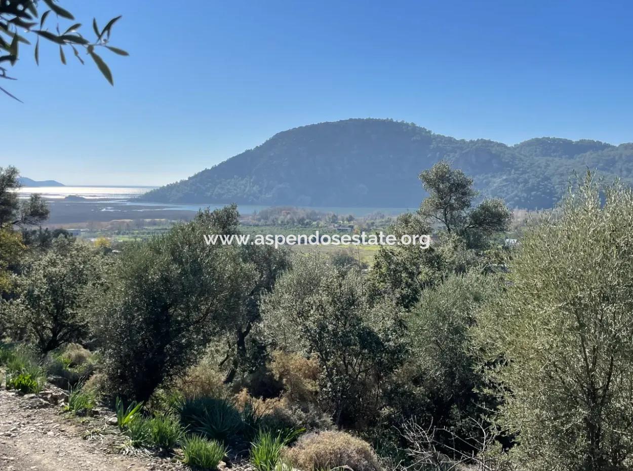 950M2 2B Feld Zum Verkauf Mit Meer- Und Seeblick In Çandır