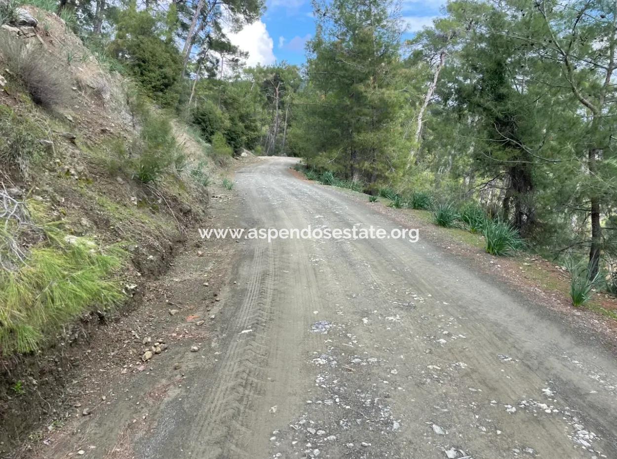 10.707M2 2B Feld Zu Verkaufen Mit Meerblick See In Çandır