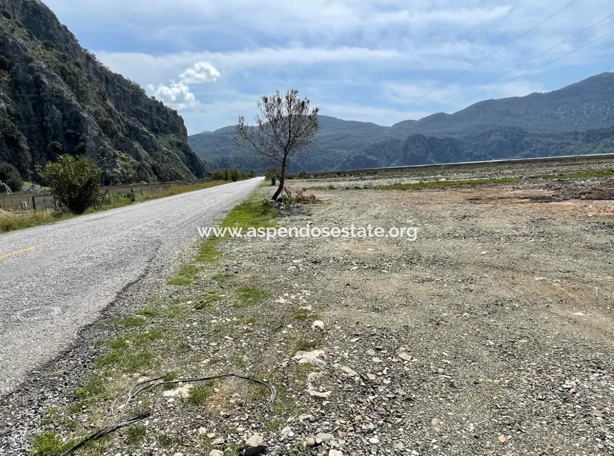 Dalyan Iztuzu Strand Straße Null 19.600M2 Feld Land Zum Verkauf