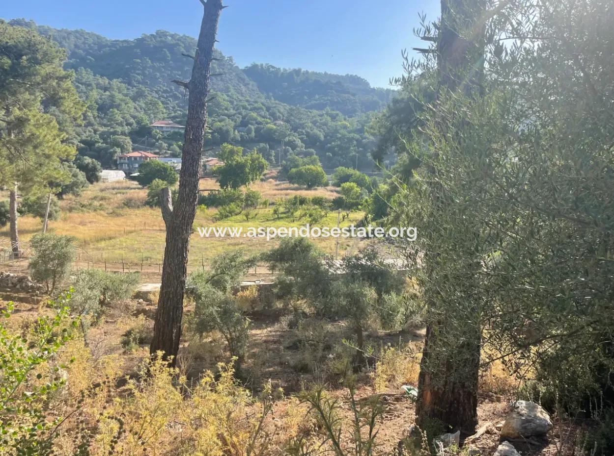 1.320M2 Feld Zum Verkauf Im Zentrum Von Çandır Am Wald