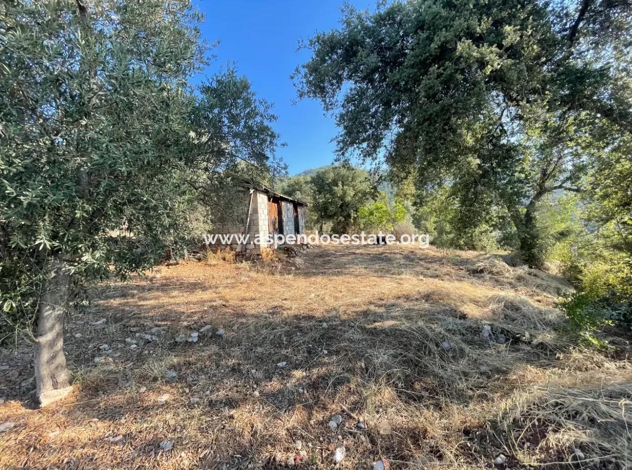 Çandır Voller Meer- Und Seeblick 500M2 2B Feld Zu Verkaufen