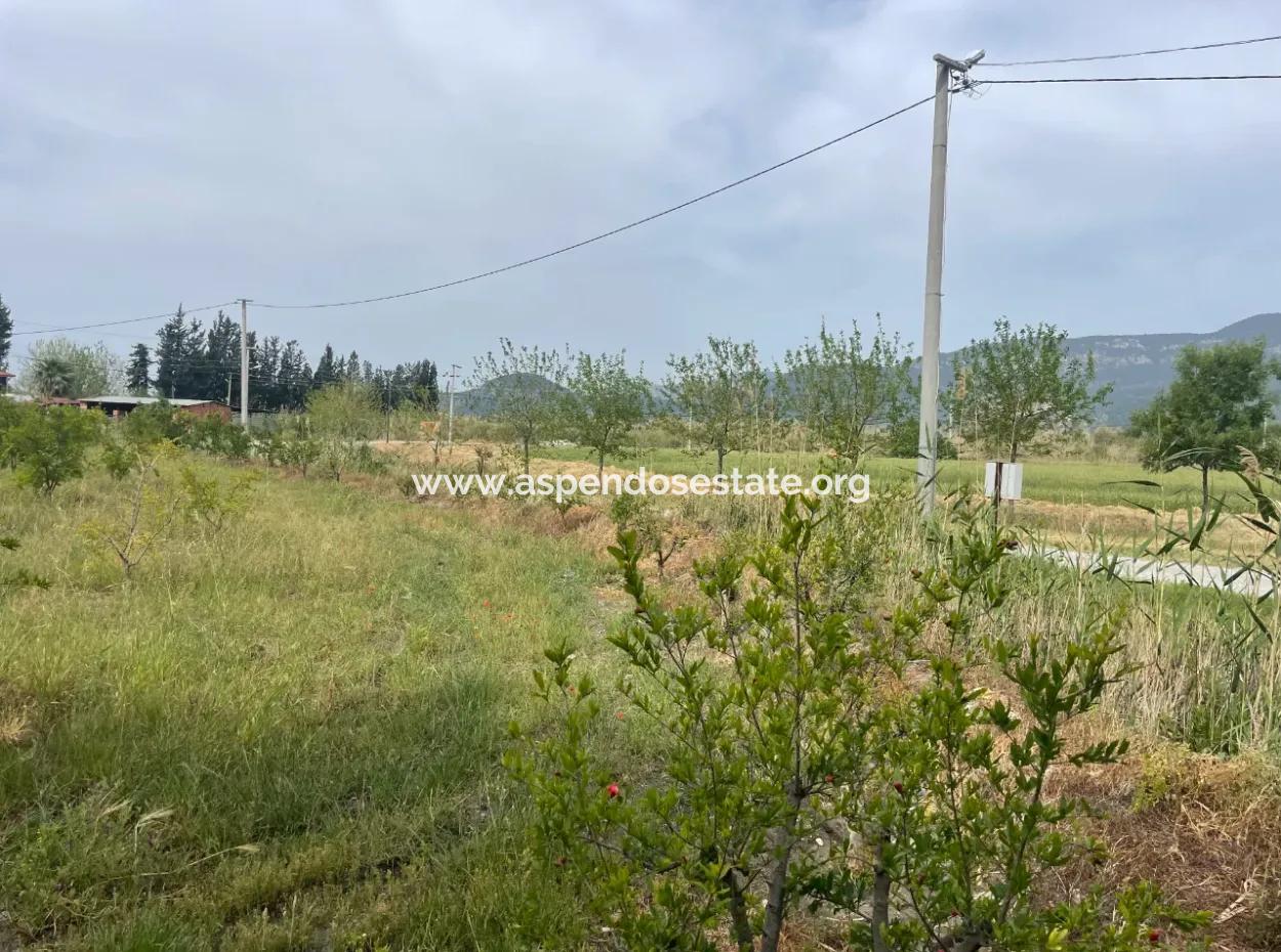 Feld Zu Verkaufen 6500M2 In Dalyan