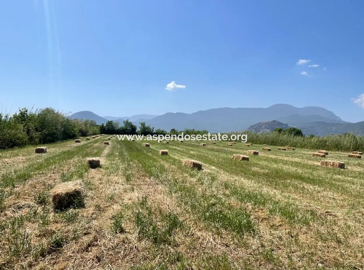 6.500 M2 Feld Zum Verkauf An Der Iztuzu-Straße In Dalyan