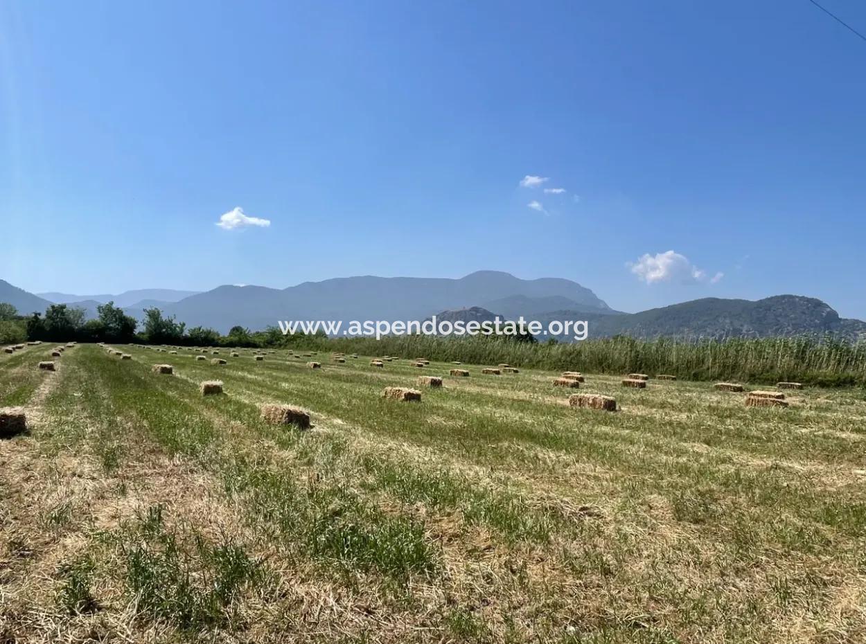 6.500 M2 Feld Zum Verkauf An Der Iztuzu-Straße In Dalyan