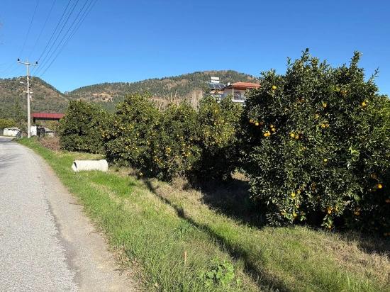 Grundstück Zum Verkauf In Ekşiliyurt, Mit Baugenehmigung, Innerhalb Einer Bebauten Fläche Von 1085 M².