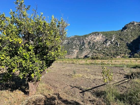 6600 M² Großes Grundstück In Der Nähe Des Zentrums Von Dalyan Zu Verkaufen.
