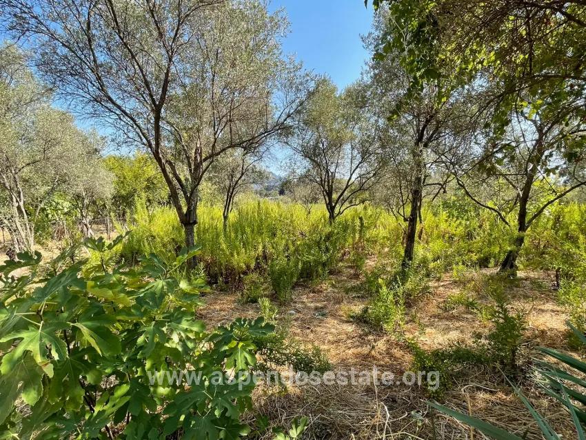 2765m2 Detached House For Sale In Çandır, Right Next To The Canal