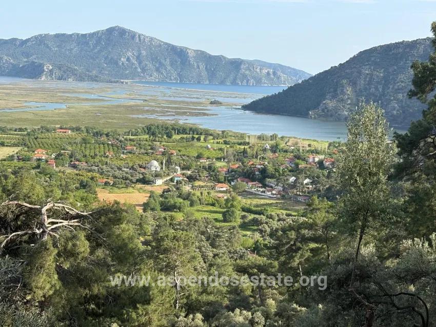 Field For sale in Çandır Nbh. Köyceğiz - Field Zoned - 1.252 m²
